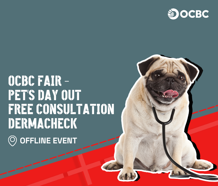 14.00 - 16.00 WIB | Pet's Day Out: Free Consultation and Dermacheck with Modernvet