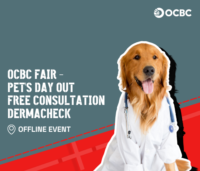 08.00 - 10.30 WIB | Pet's Day Out: Free Consultation and Dermacheck with Modernvet
